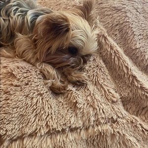 Meet your Posher, Deborah